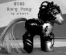 My Borg Pony